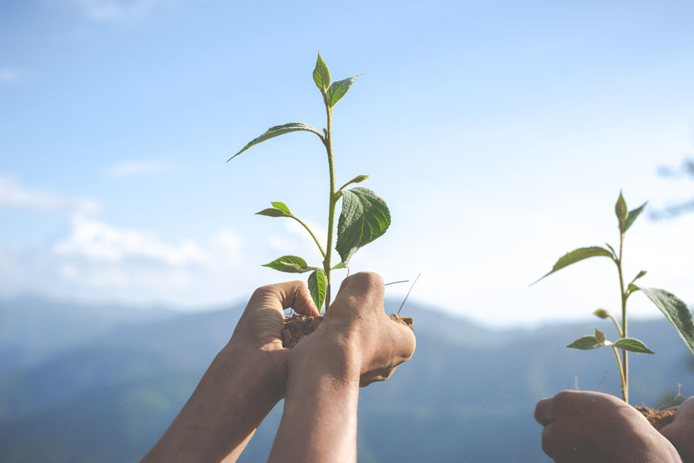 Art conceptuel d'un homme plantant pour l'avenir en utilisant des sujets pour le journal.